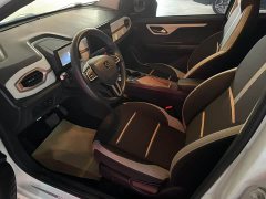 Flower Fairy 302km Luxury 31.4kWh - ფოტო 5