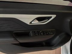 Flower Fairy 302km Luxury 31.4kWh - ფოტო 8