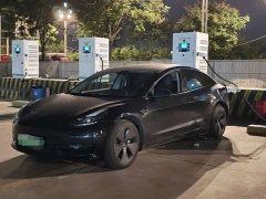Tesla Model 3 Standard Range RWD Upgrade - ფოტო 1