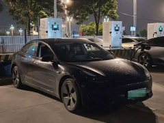 Tesla Model 3 Standard Range RWD Upgrade - ფოტო 2