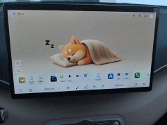 BYD Seagull Smart Driving Edition 305km Freedom Edition - ფოტო 13