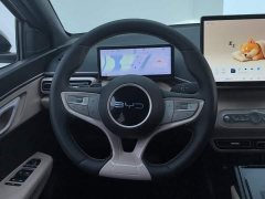 BYD Seagull Smart Driving Edition 305km Freedom Edition - ფოტო 15