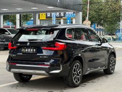BMW X1 sDrive25Li X Design Package - ფოტო 9