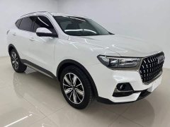 Haval H6 National Trend Edition 1.5T Automatic Champion Version - ფოტო 3