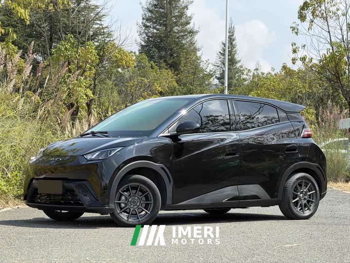 BYD Seagull Vitality Edition - ავტომობილი ჩინეთიდან