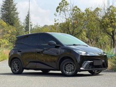BYD Seagull Vitality Edition - ფოტო 19
