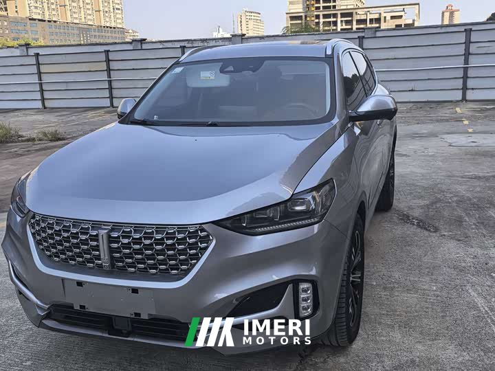 Great Wall WEY VV6 2.0T Two-Wheel Drive Smart Plus - ავტომობილი ჩინეთიდან