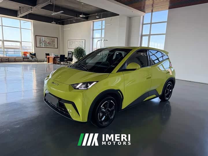 BYD Seagull 2023 Freedom Edition - ავტომობილი ჩინეთიდან