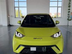 BYD Seagull 2023 Freedom Edition - ფოტო 2