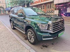Tank 500 New Energy 2026 Hi4-Z Smart Comfort Edition - ფოტო 3