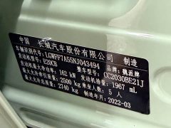 Tank 300 2021 2.0T Wind Forest Iron Cavalry - ფოტო 11