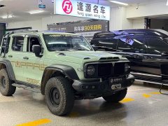 Tank 300 2021 2.0T Wind Forest Iron Cavalry - ფოტო 3