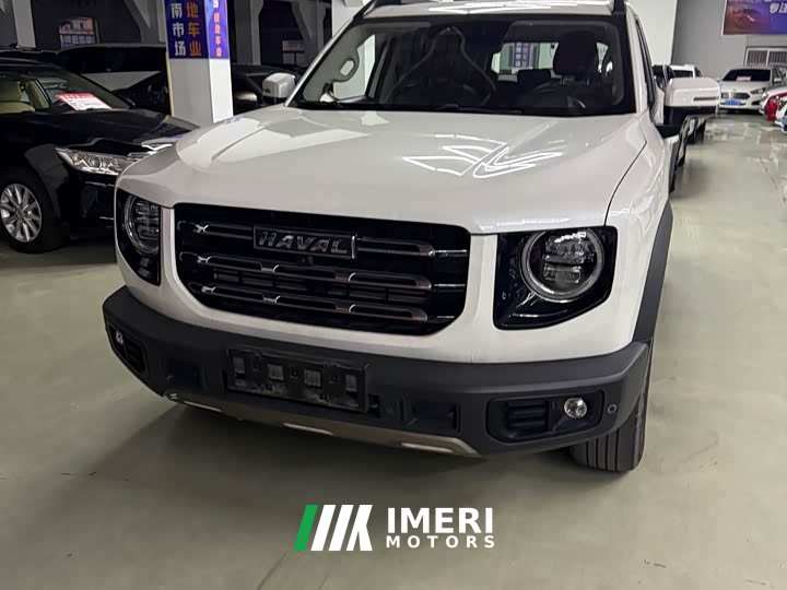 Great Wall Dachshund 1.5T DCT Two-Wheel Drive Border Collie Edition - ავტომობილი ჩინეთიდან