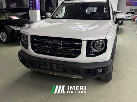 2021 Great Wall Dachshund 1.5T DCT Two-Wheel Drive Border Collie Edition - ავტომობილი ჩინეთიდან