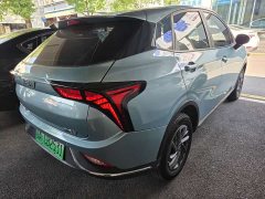 Neta V Chao 300 Industry Custom Edition - ფოტო 16