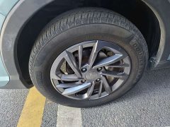 Neta V Chao 300 Industry Custom Edition - ფოტო 3