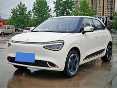 Dongfeng Nano 01 2024 430 Plus Smart - ფოტო 1