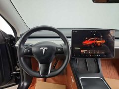 Tesla Model Y Rear-Wheel Drive - ფოტო 13