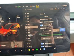 Tesla Model Y Rear-Wheel Drive - ფოტო 19