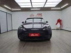 Tesla Model Y Rear-Wheel Drive - ფოტო 3