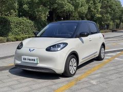 Wuling Binguo 203km Light Enjoy Edition - ფოტო 1