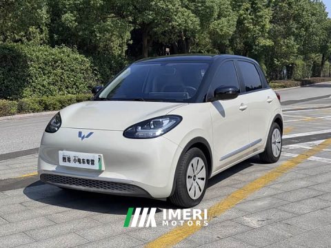 2023 Wuling Binguo 203km Light Enjoy Edition - ავტომობილი ჩინეთიდან