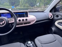 Wuling Binguo 203km Light Enjoy Edition - ფოტო 15