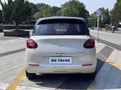 Wuling Binguo 203km Light Enjoy Edition - ფოტო 5
