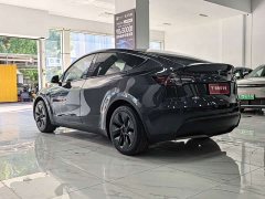 Tesla Model Y Rear-Wheel Drive - ფოტო 13