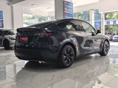 Tesla Model Y Rear-Wheel Drive - ფოტო 15