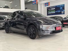 Tesla Model Y Rear-Wheel Drive - ფოტო 3