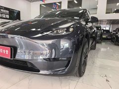 Tesla Model Y Rear-Wheel Drive - ფოტო 4