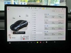 Tesla Model Y Rear-Wheel Drive - ფოტო 8
