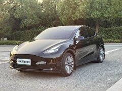 Tesla Model Y Rear-Wheel Drive - ფოტო 1