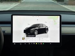 Tesla Model Y Rear-Wheel Drive - ფოტო 12
