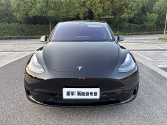 Tesla Model Y Rear-Wheel Drive - ფოტო 2