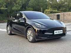 Tesla Model Y Rear-Wheel Drive - ფოტო 3