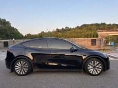 Tesla Model Y Rear-Wheel Drive - ფოტო 4