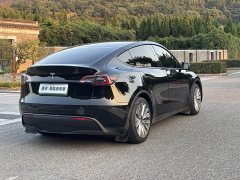 Tesla Model Y Rear-Wheel Drive - ფოტო 5