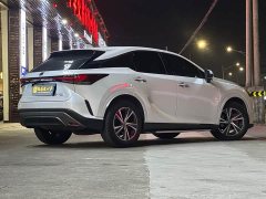 Lexus RX 2025 300 AWD Premium Edition - ფოტო 6