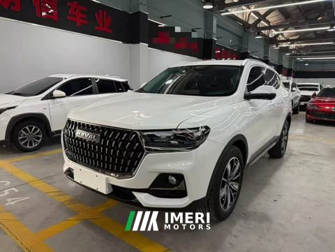 2024 Haval H6 2023 National Trend Edition 1.5T Automatic Champion Version - ავტომობილი ჩინეთიდან