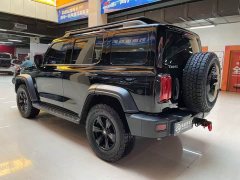 Tank 300 Off-Road Edition 2.0T Conqueror - ფოტო 4