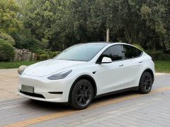Tesla Model Y Rear-Wheel Drive - ფოტო 1