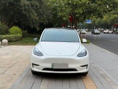 Tesla Model Y Rear-Wheel Drive - ფოტო 2