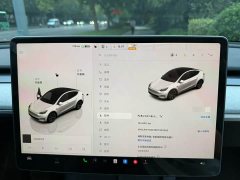 Tesla Model Y Rear-Wheel Drive - ფოტო 7