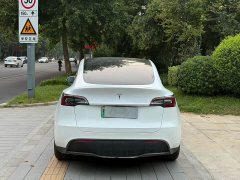 Tesla Model Y Rear-Wheel Drive - ფოტო 8