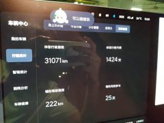 Li Auto L9 Max - ფოტო 13
