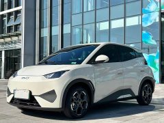 BYD Seagull Smart Driving Edition 305km Freedom Edition - ფოტო 1