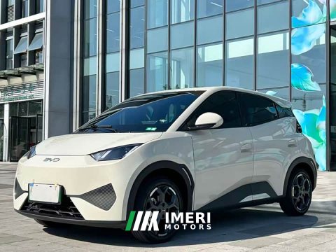 2025 BYD Seagull Smart Driving Edition 305km Freedom Edition - ავტომობილი ჩინეთიდან