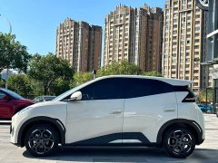 BYD Seagull Smart Driving Edition 305km Freedom Edition - ფოტო 3